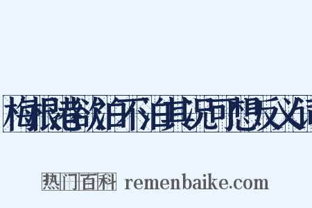 梅根港欲泊不泊其况可想反义词是什么意思的图片